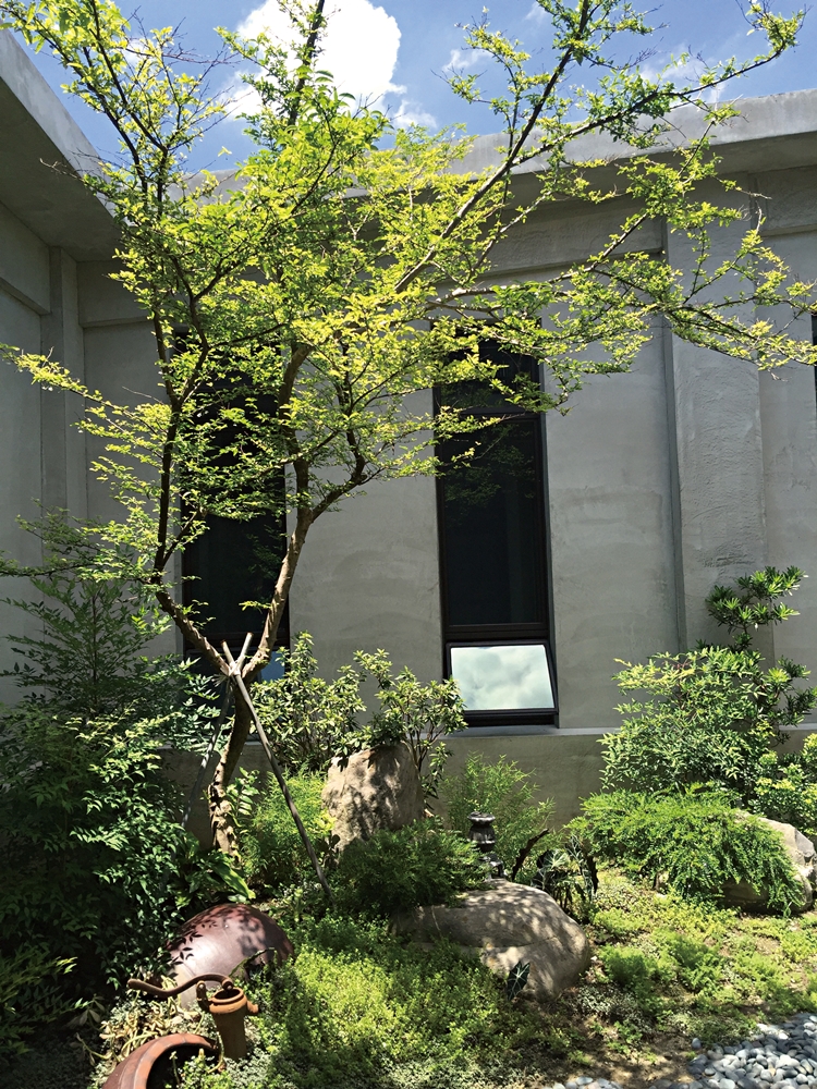 沐雨鍾林生態心靈休閒農場11