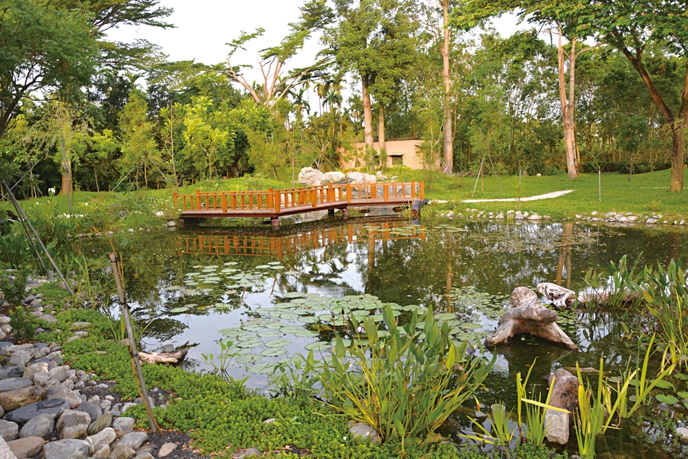 沐雨鍾林生態心靈休閒農場26