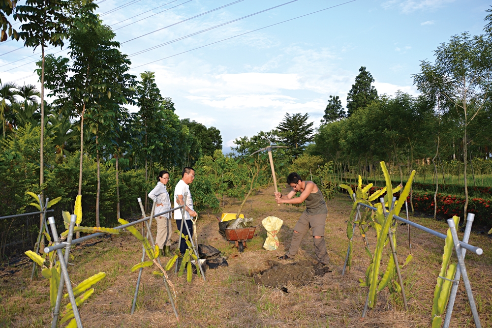 沐雨鍾林生態心靈休閒農場29