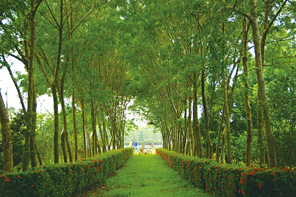 沐雨鍾林生態心靈休閒農場30