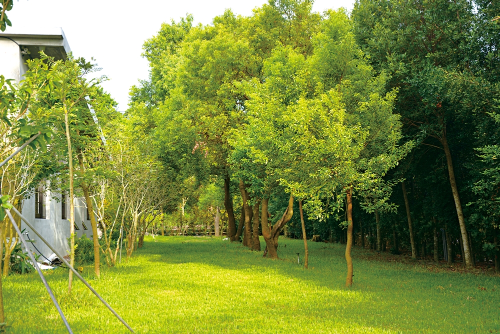 沐雨鍾林生態心靈休閒農場31