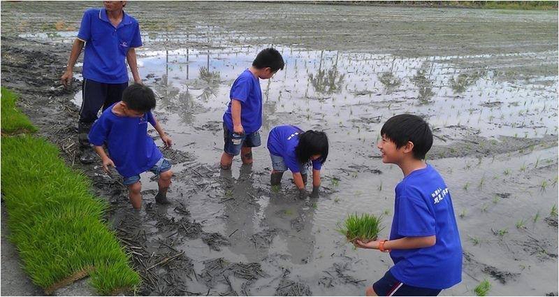 仰山休閒農場11