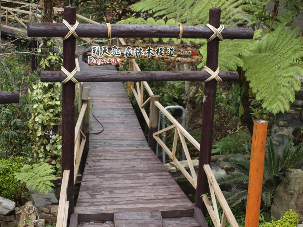 大武山休閒農場-到天亮森林木棧到