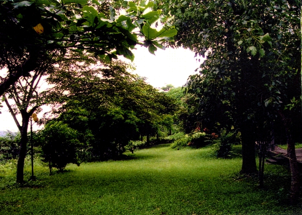 大漢山休閒農場14