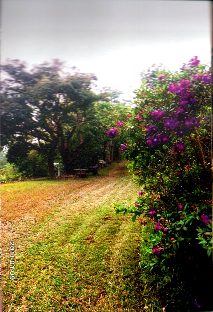 大漢山休閒農場15