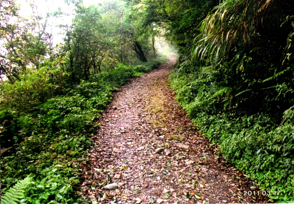 大漢山休閒農場16