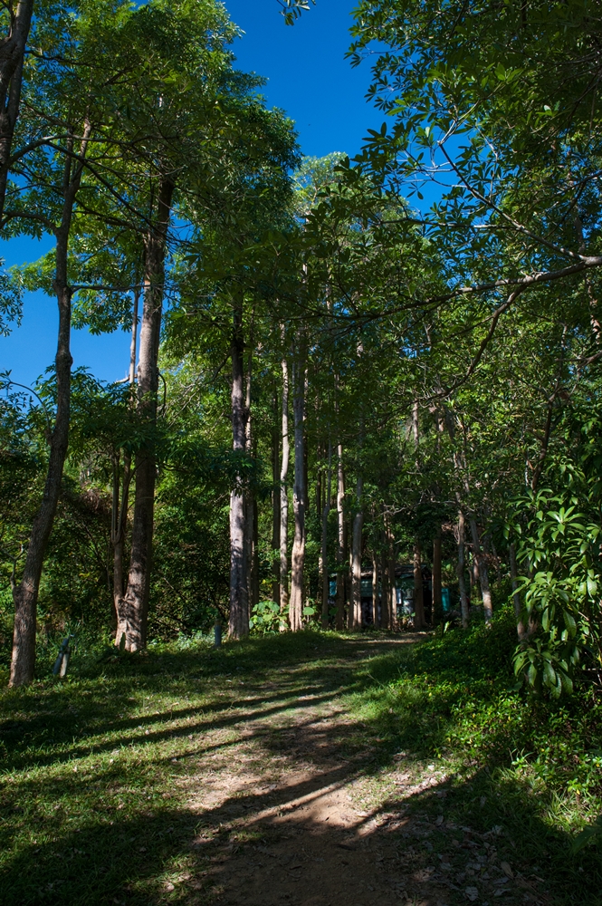 大漢山休閒農場2