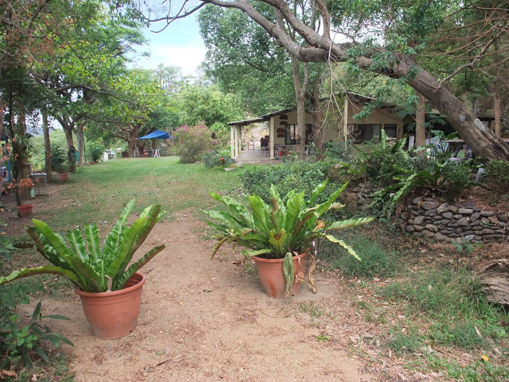 大漢山休閒農場5