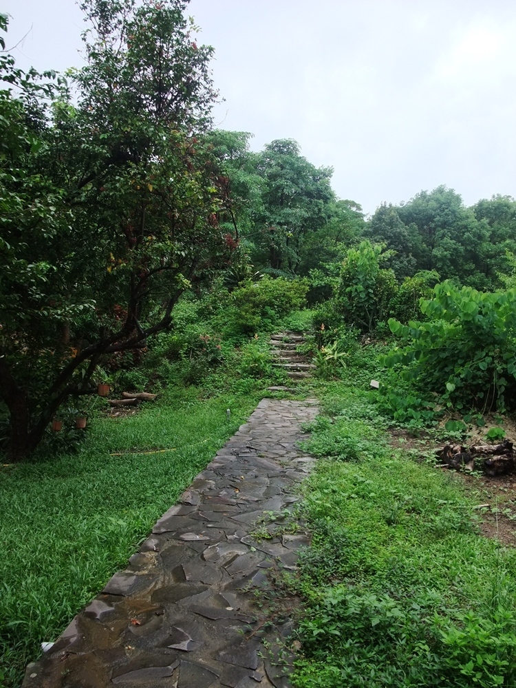 大漢山休閒農場6