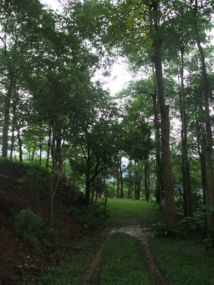 大漢山休閒農場11