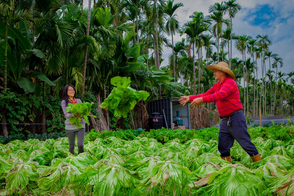 龍子泉休閒農場15