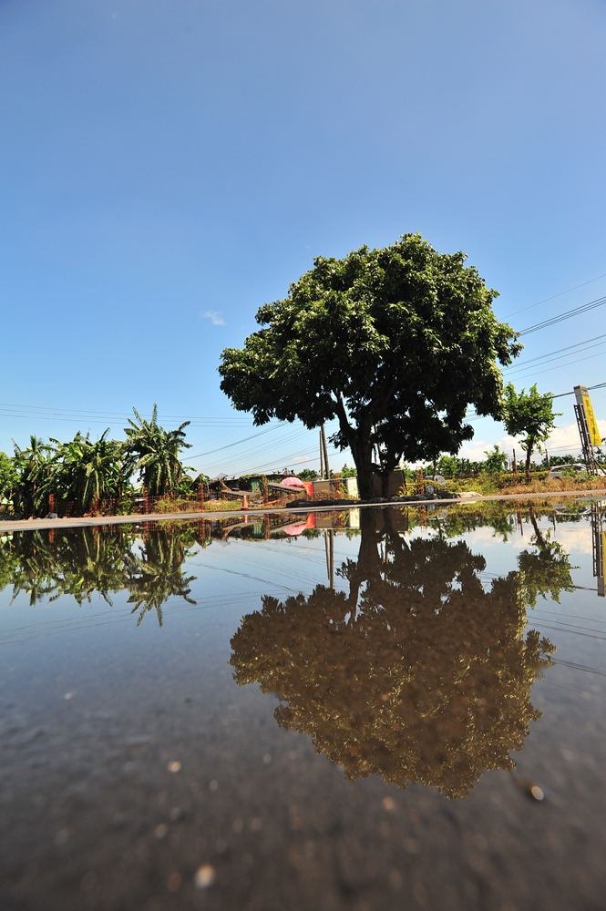 龍子泉休閒農場2