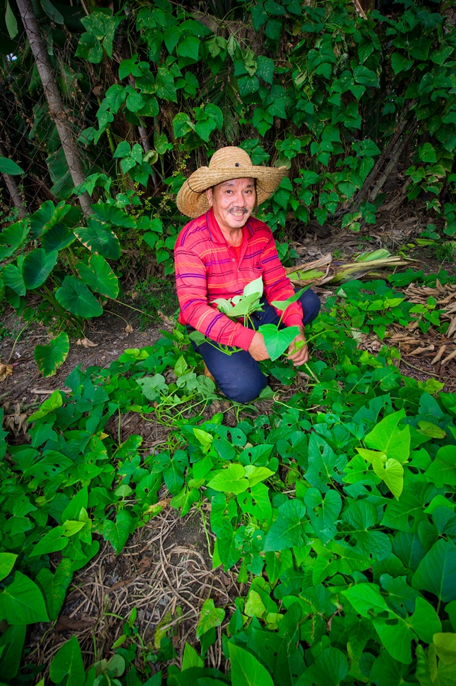 龍子泉休閒農場10