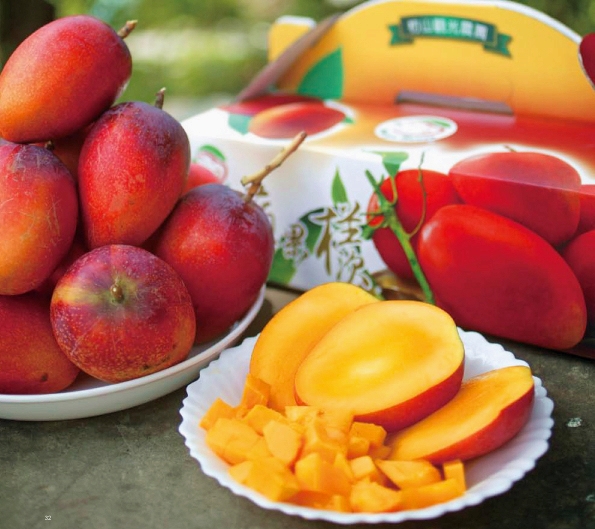 枋山休閒農場-芒果