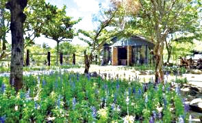 阿信巧克力休閒農場1