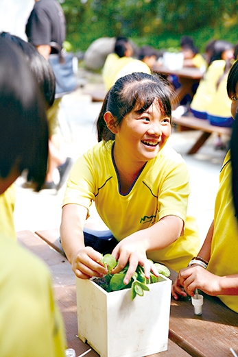 阿信巧克力休閒農場2