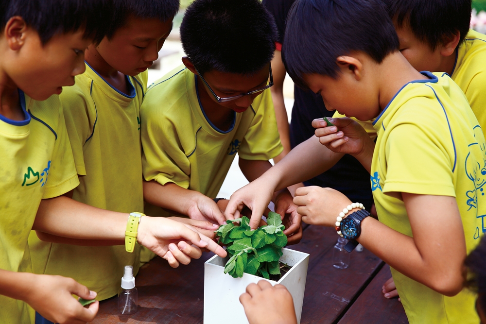 阿信巧克力農場-一盒田小農夫DIY