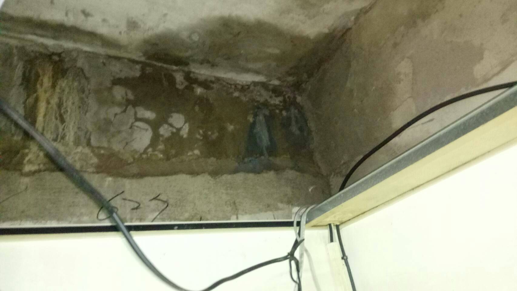 水管漏水儀器加色素鑑定