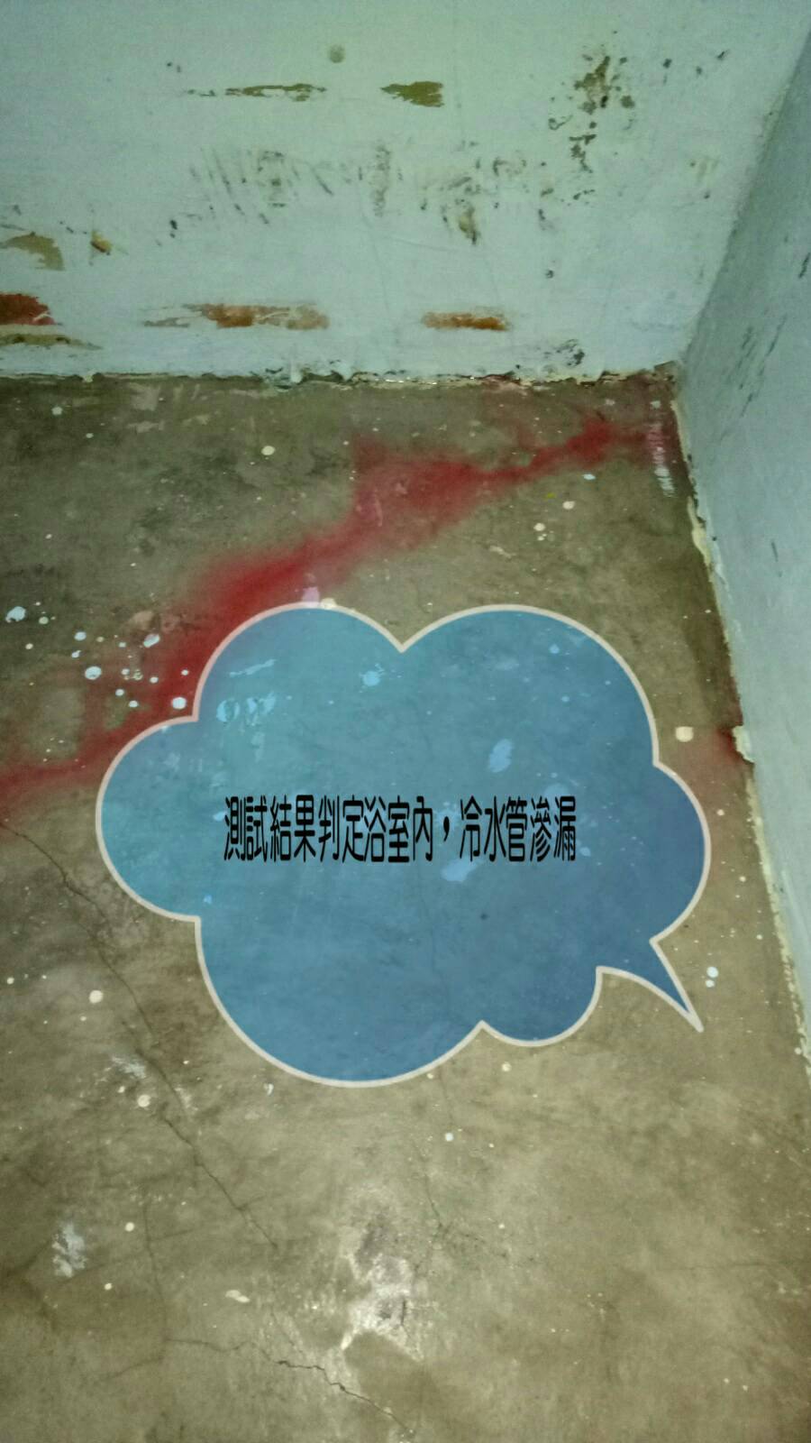 水管漏水儀器加色素鑑定