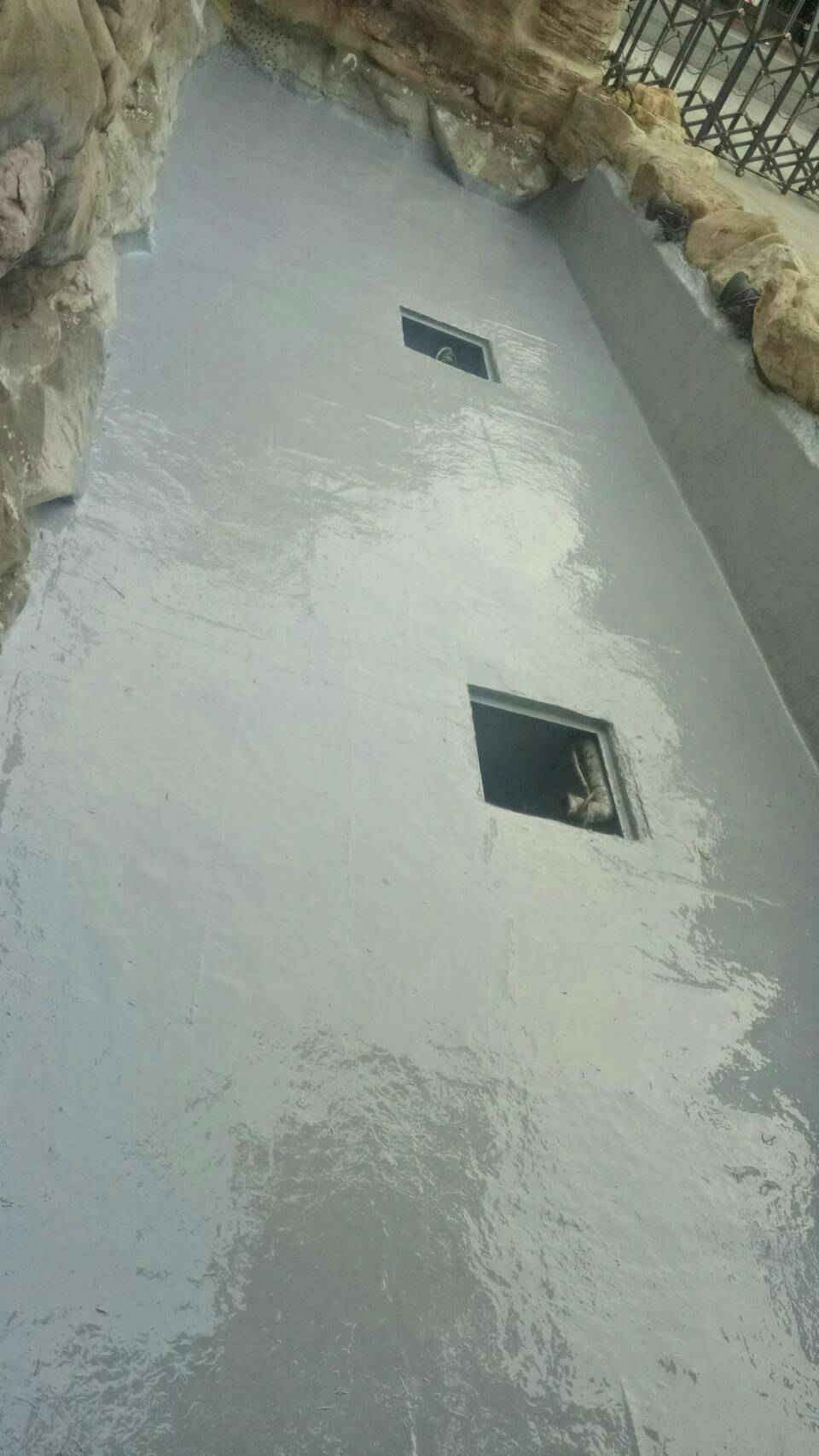 EPOXY魚池貼五層玻纖網防水工程