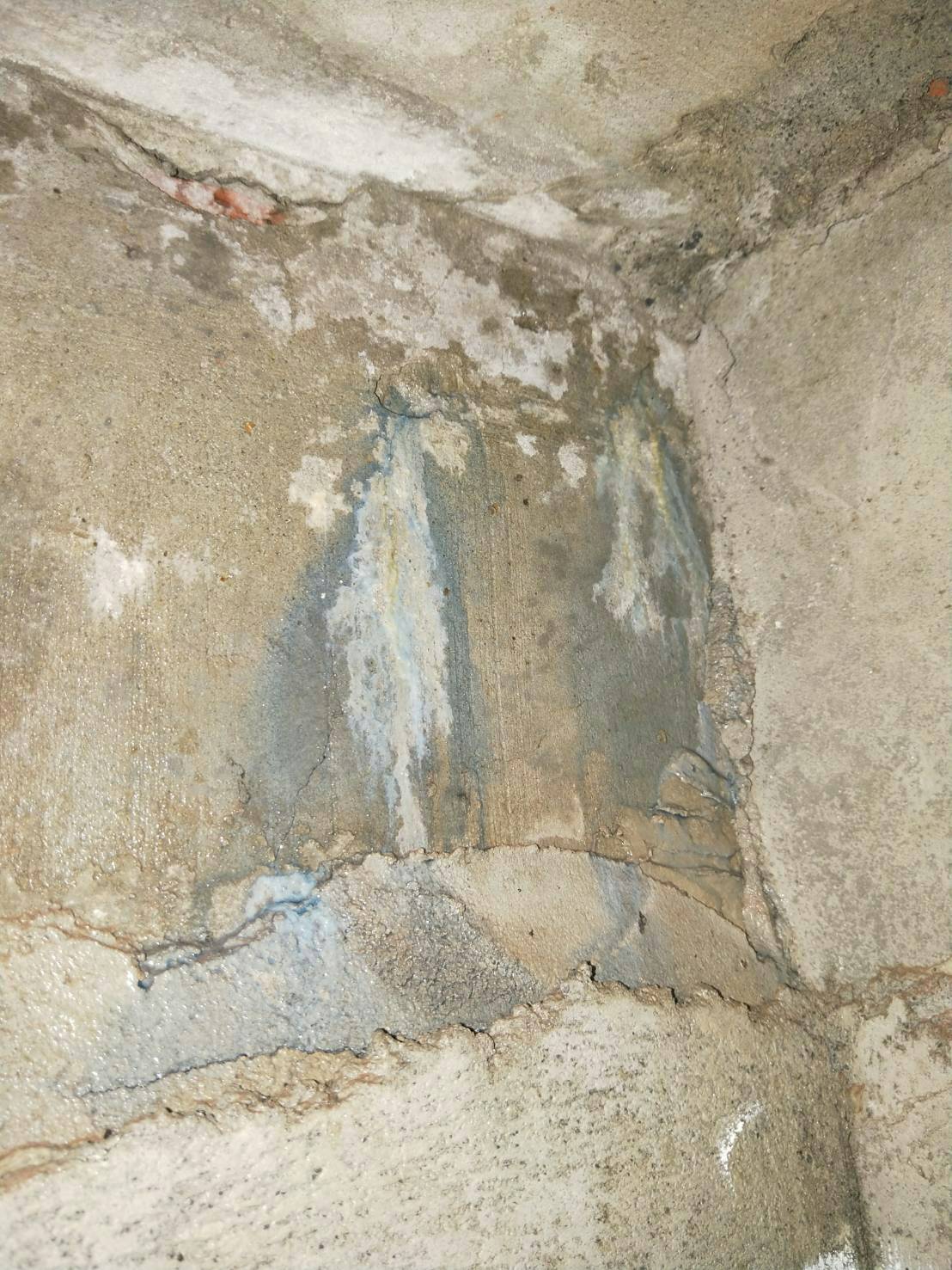 水管漏水儀器加色素鑑定