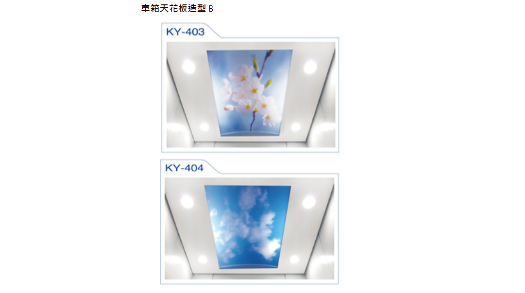 造型