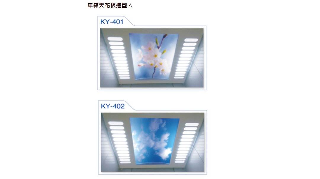 造型
