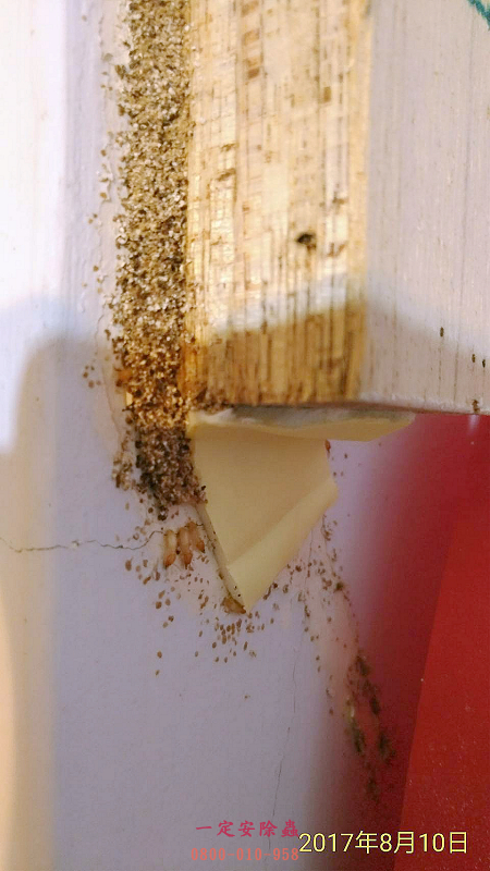 高雄除白蟻工程