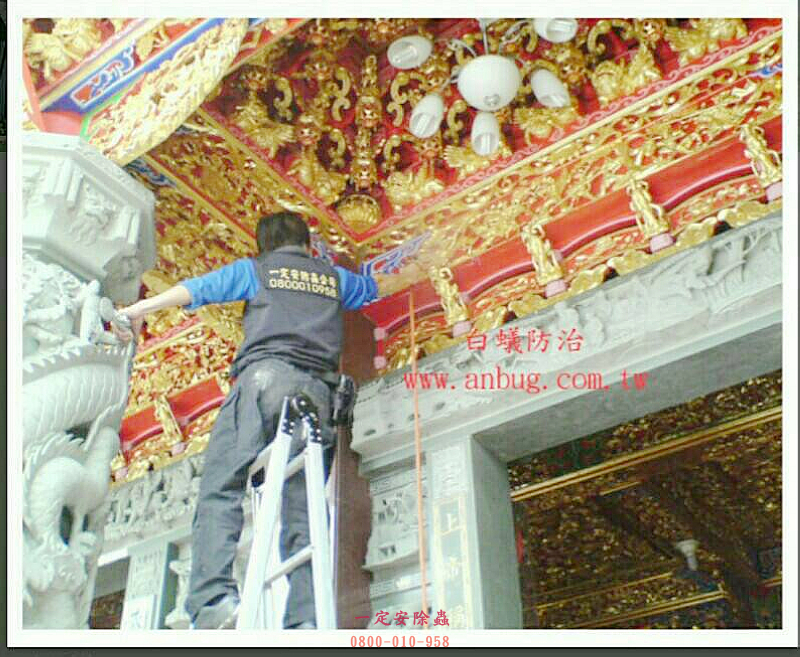 高雄廟宇白蟻防治