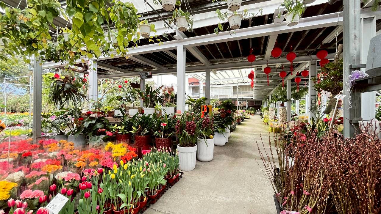 御鎂園藝-各式花草