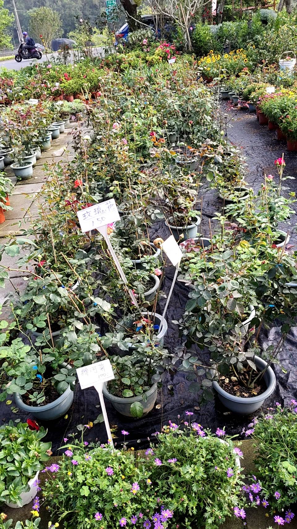 各式花草、樹木