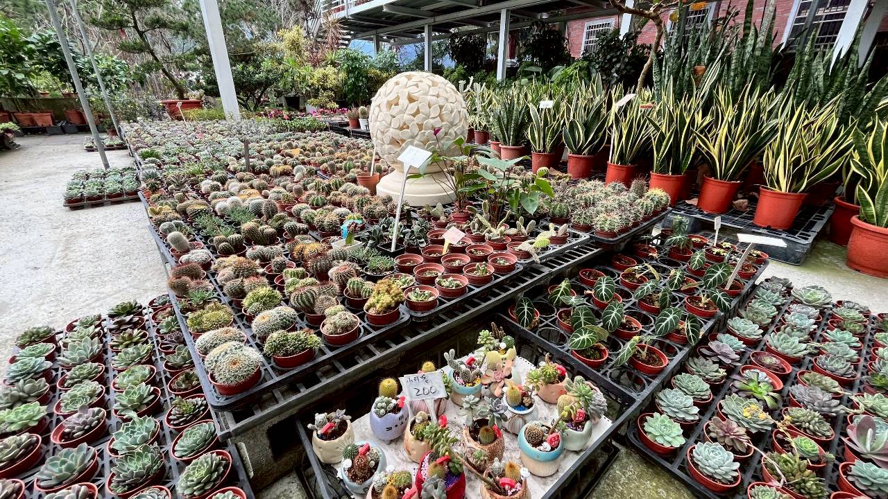御鎂園藝花卉-多肉植物園區