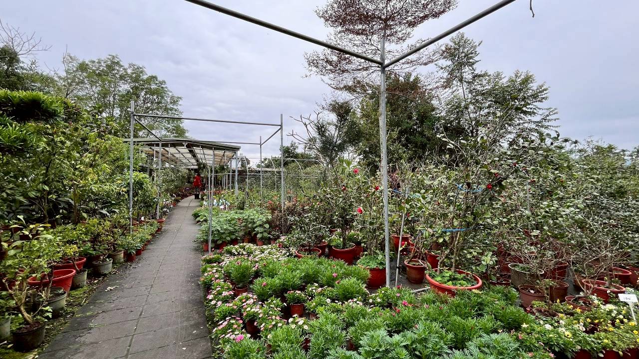 御鎂園藝-四季花草