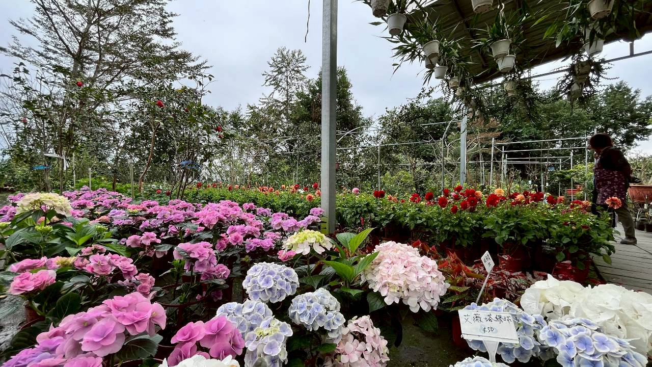 御鎂園藝-當季盆栽