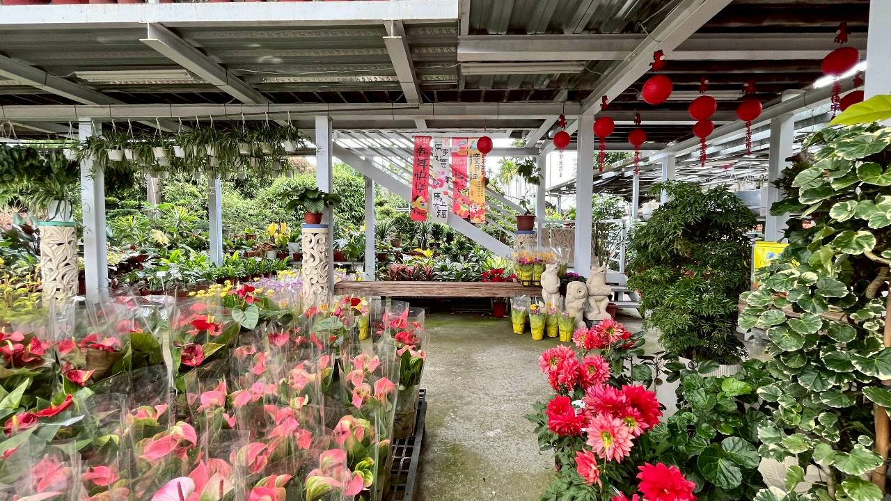 御鎂園藝-四季花草