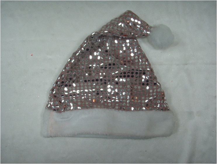 4711542839947金銀亮片聖誕帽A