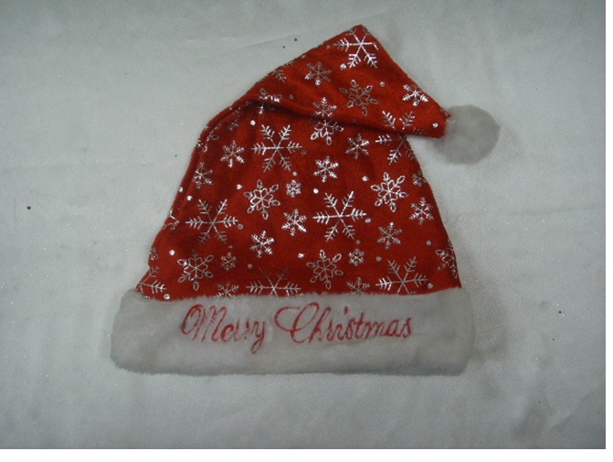 雪花聖誕帽(測試用，勿下單)