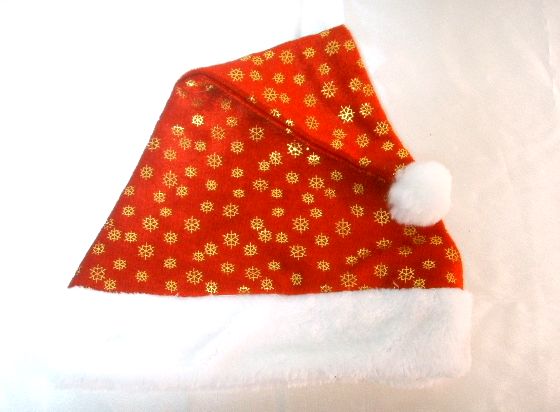 4717622272628金星聖誕帽