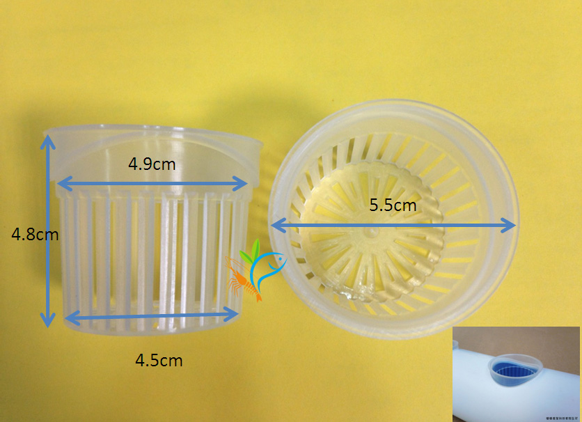 5.5公分水耕栽培盆-零售價(不含運)