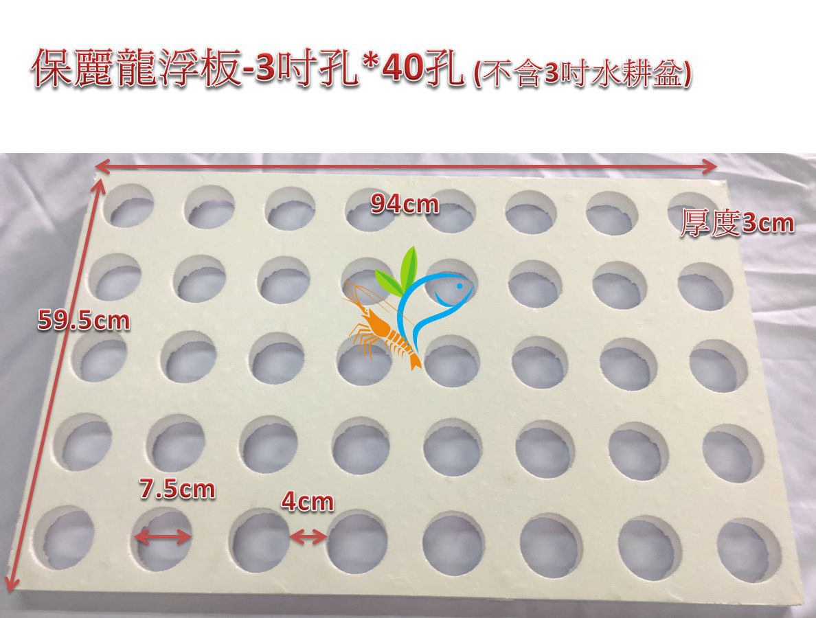 保麗龍植板40孔-圓孔