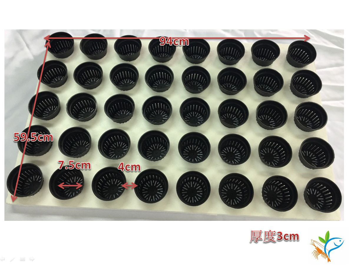 保麗龍植板40孔-圓孔