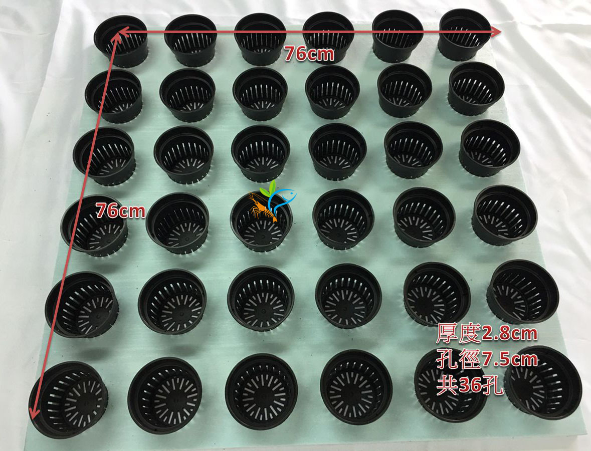 EPS-鑽孔75mm*36孔(76*76cm)含植盆