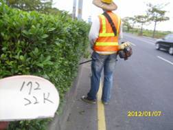 分隔島及槽化島割(砍)除雜草及運棄