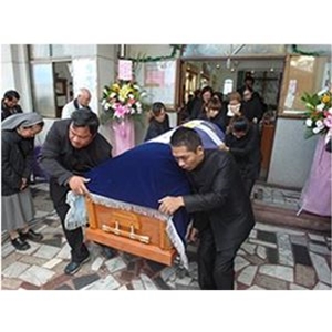 社員及學員工作情況