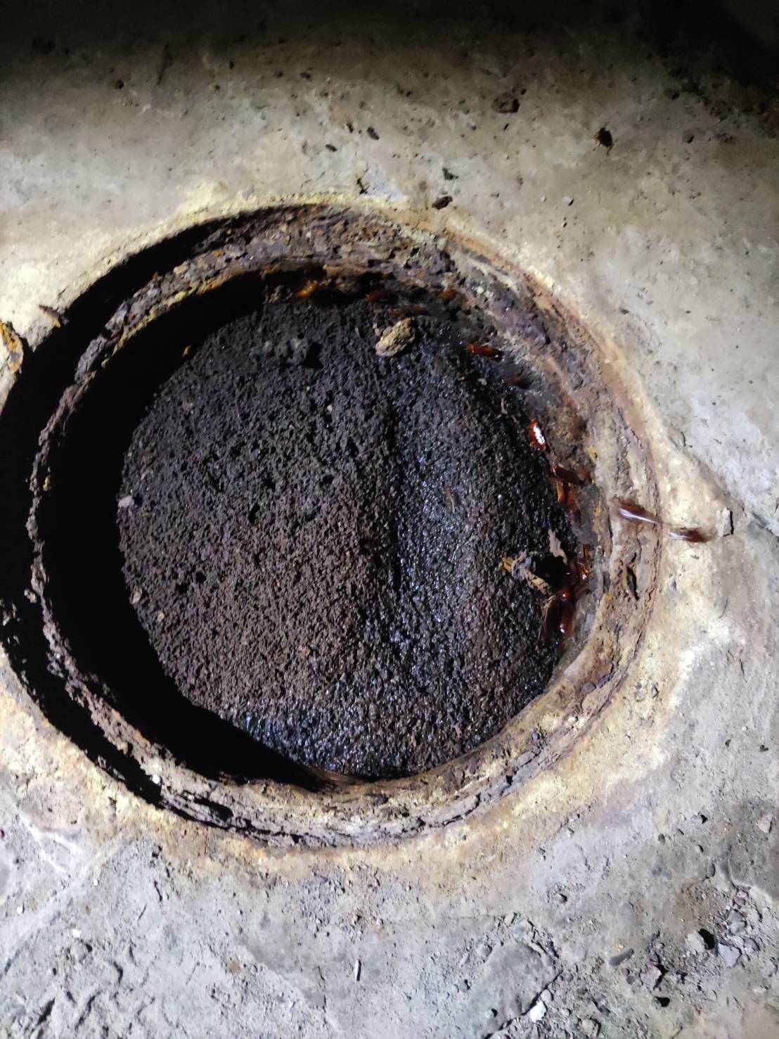 台中龍井抽水肥通馬桶推薦公司-廣通環保