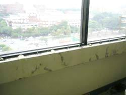 窗框注射發泡-施工後