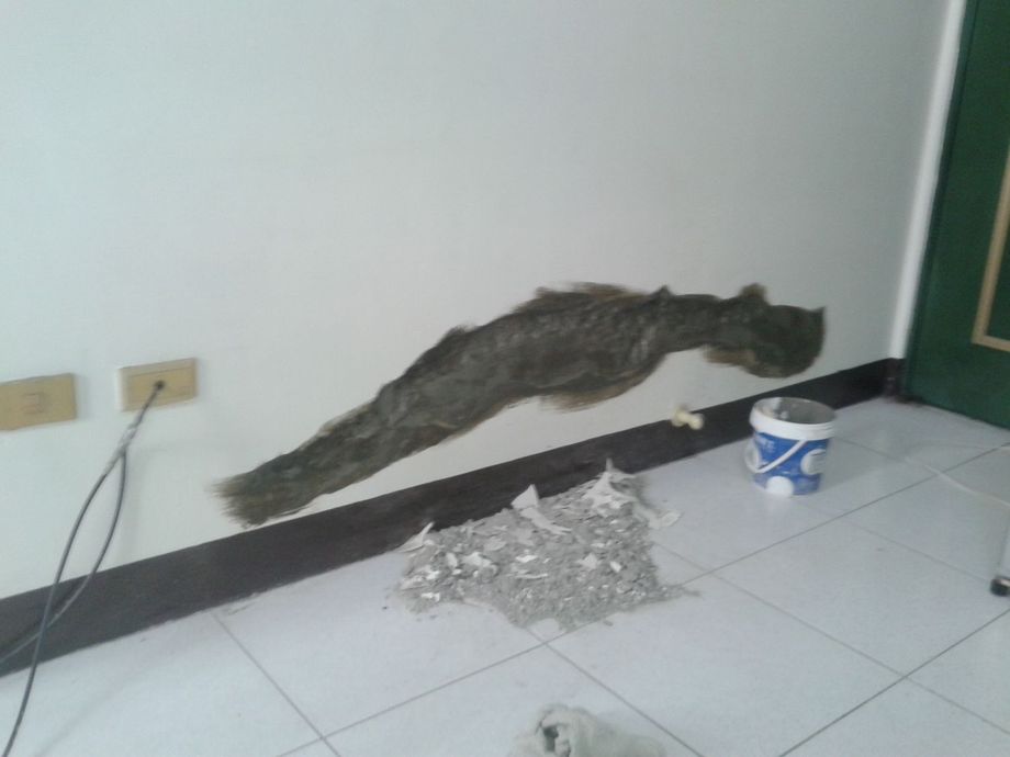 壁癌施工處理中