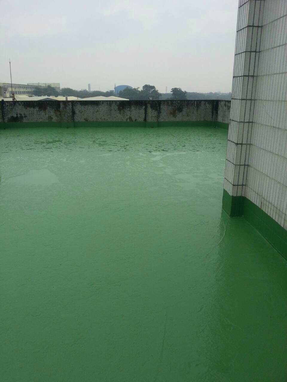 屋頂隔熱磚打除防水工程-施工後