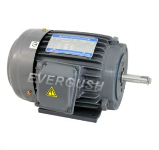 九如牌EVERGUSH泵浦-馬達(電動機)~勝昱鑫水電材料行