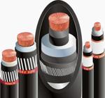 大山電線電纜-中高壓電纜~勝昱鑫水電材料行